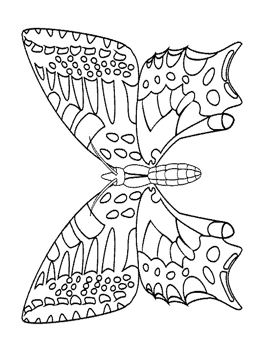 Coloriage De Papillon A Imprimer Gratuit Imprimer Mandala Animaux Dessin A Imprimer Gratuit