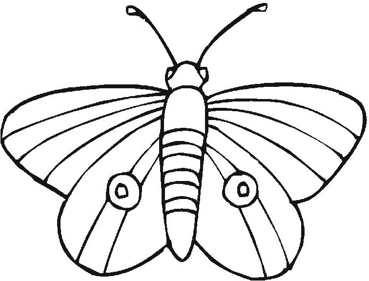 Coloriage De Papillon Gratuit Coloriage Magique Papillon A Imprimer Coloriage Magique