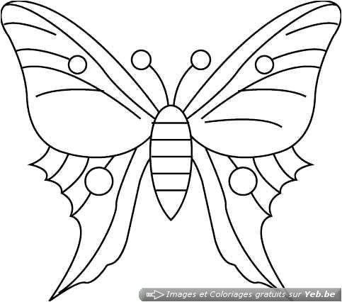 Coloriage De Papillon Gratuit Coloriage Papillon 17 Dessin Gratuit Coloriage Papillon Des