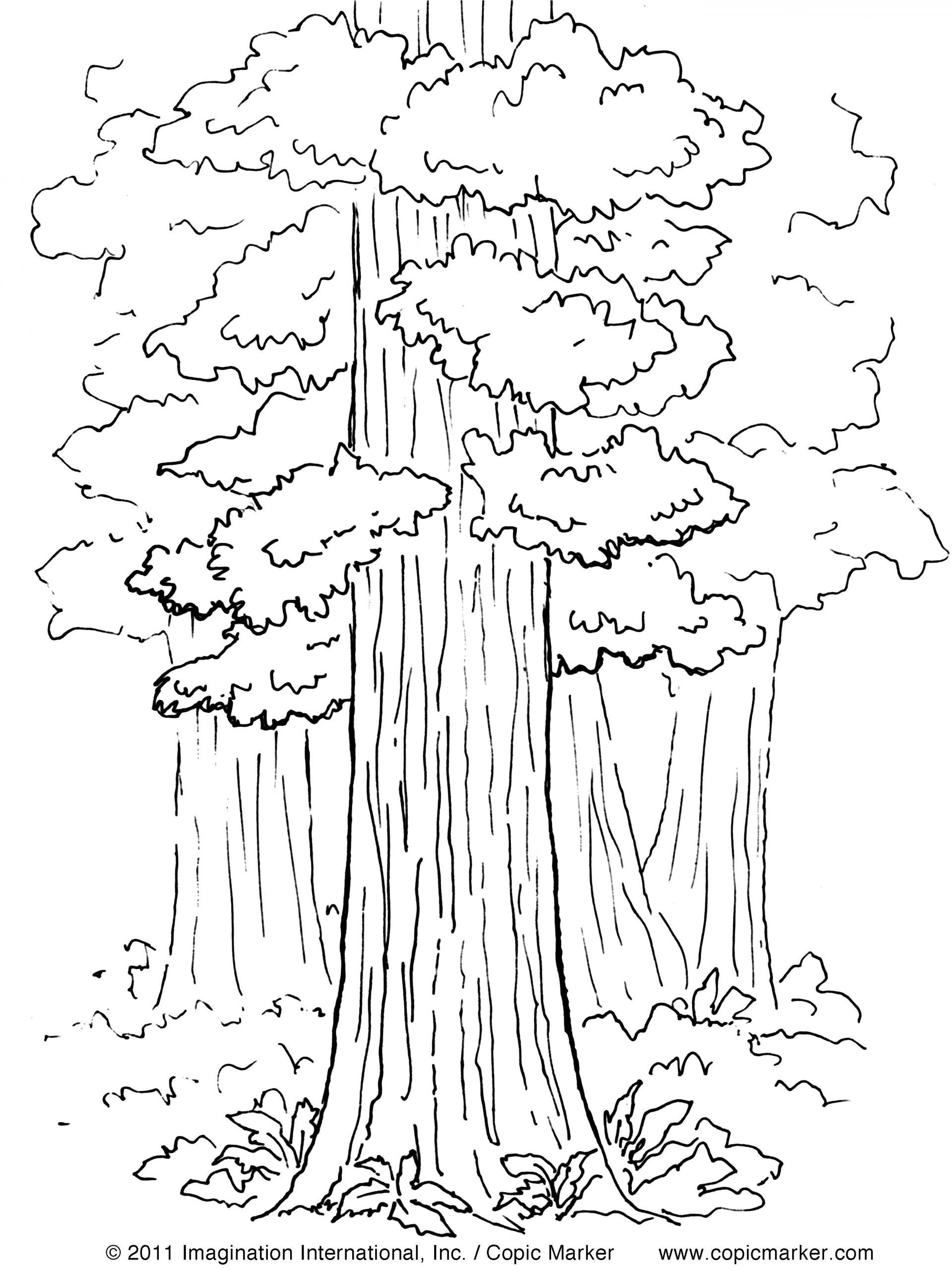 Coloriage De Paysage De Mer Coloriage