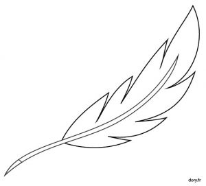 Coloriage De Plume D Oiseau Coloriage De Plume D Oiseau