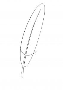Coloriage De Plume D Oiseau Dessiner Une Plume étape Par étape Dessindigo