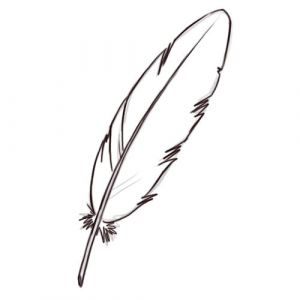 Coloriage De Plume D Oiseau Ment Dessiner Une Plume D Oiseau Dessin