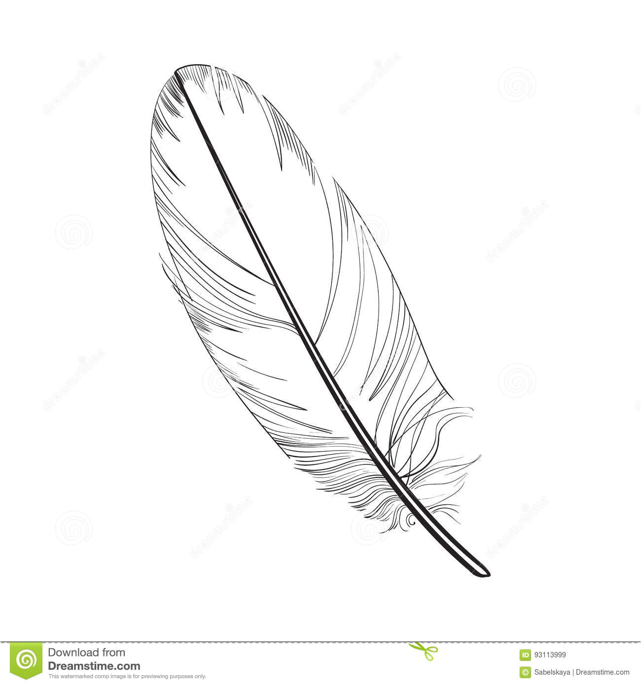 Coloriage De Plume D Oiseau Smoth Tiré Par La Main Plume D Oiseau Tropicale Et