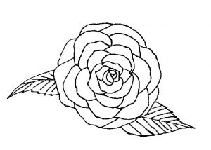 Coloriage De Roses A Imprimer Coloriage Rose Sur Coloriage à Imprimer Du Net