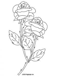 Coloriage De Roses A Imprimer Coloriage Roses Les Beaux Dessins De Nature à Imprimer