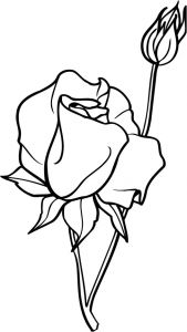 Coloriage De Roses A Imprimer Coloriage Une Rose Ouverte Et Bouton De Rose Dory