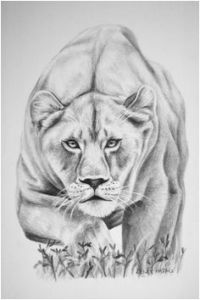 Coloriage De Tete De Tigre Lioness with Crown Tattoo Google Search