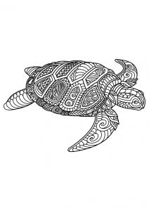 Coloriage De tortue Gratuit Beau Dessin A Imprimer Gratuit tortue – Mademoiselleosaki