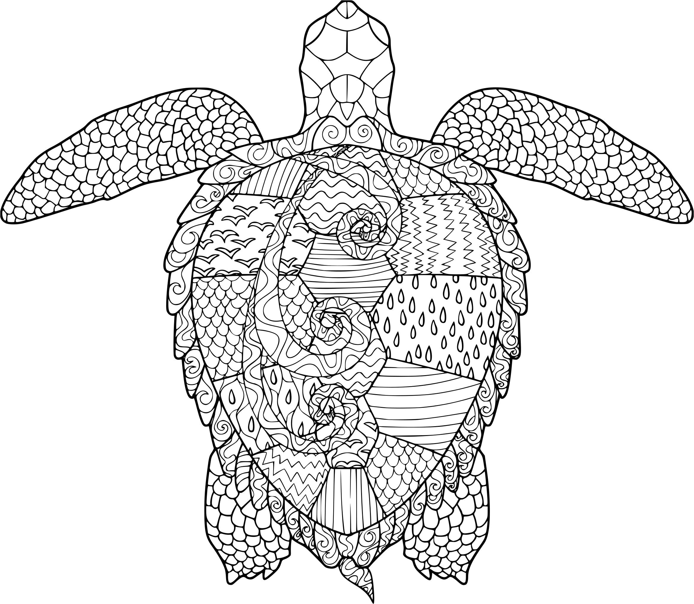 Coloriage De tortue Gratuit Coloriage Anti Stress tortue Imprimer Sur Coloriages Info