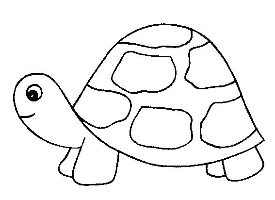 Coloriage De tortue Gratuit Coloriage tortue De Terre