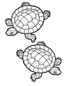 Coloriage De tortue Gratuit Coloriage tortue De Terre