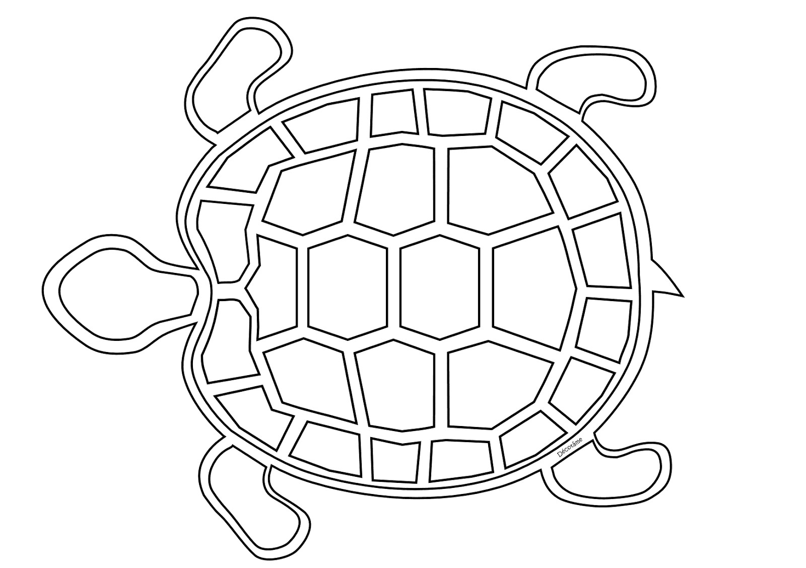 Coloriage De tortue Gratuit Decotme Tme Coloriage tortue