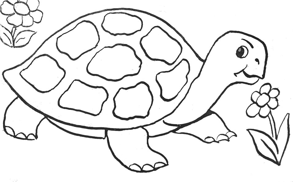 Coloriage De tortue Gratuit tortue 4 Animaux – Coloriages à Imprimer