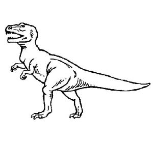 Coloriage De Tyrannosaurus Rex Coloriage De Tyrannosaurus Rex Pour Colorier Coloritou