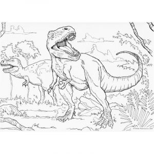 Coloriage De Tyrannosaurus Rex T Rex Coloriage