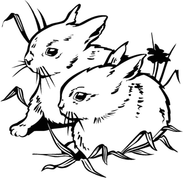 Coloriage Didou à Imprimer Dessins Gratuits   Colorier Coloriage Camion Pompier  