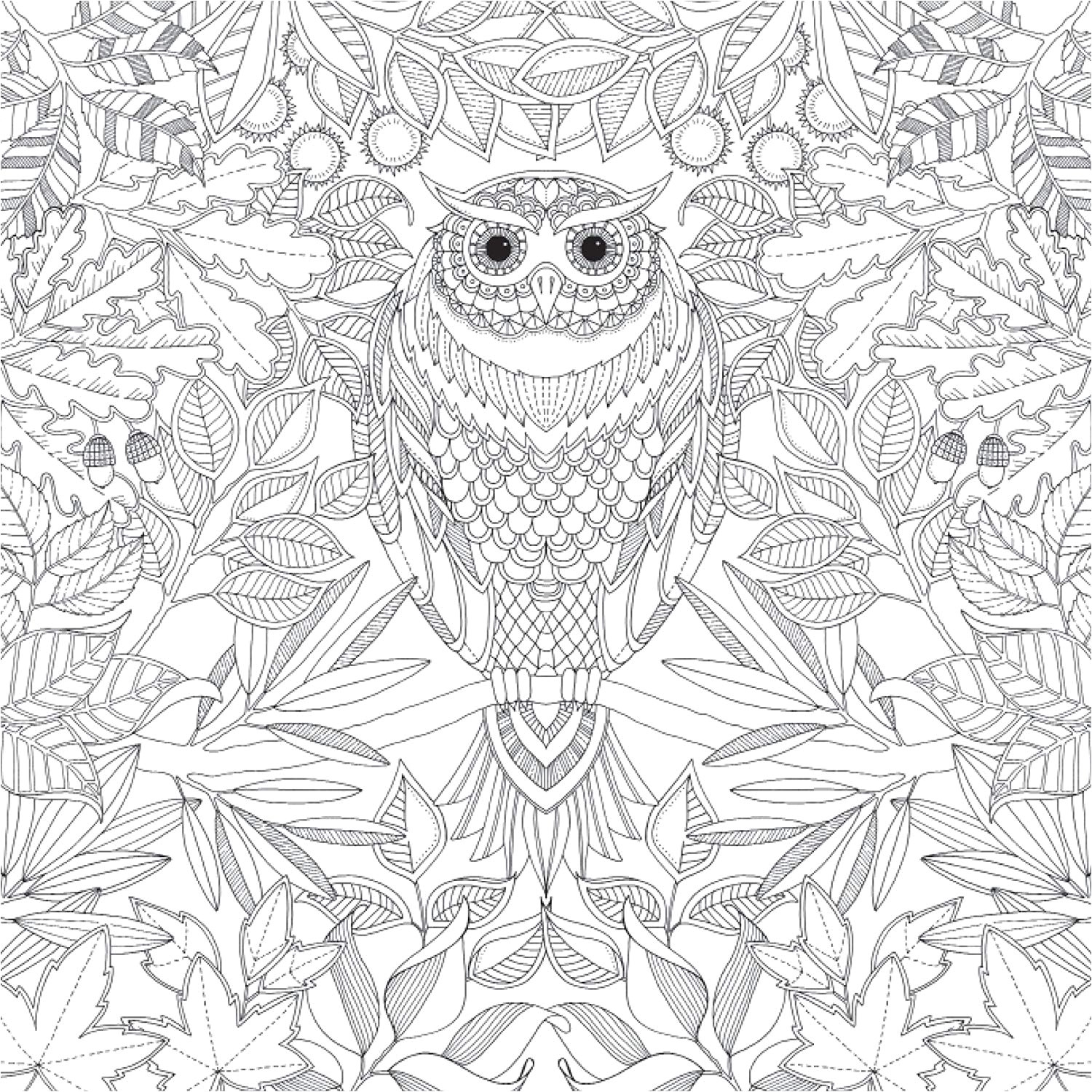 Coloriage Difficile Pour Adulte Coloriages Difficiles Pour Adultes Coloriages Pour Enfants