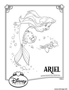 Coloriage Disney La Petite Sirene Coloriage La Petite Sirene Disney Princesse Jecolorie
