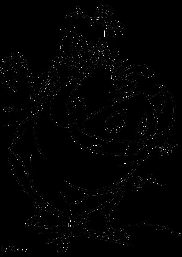 Coloriage Disney Roi Lion Animaux