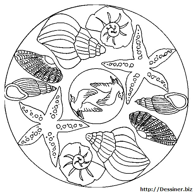 Coloriage Divers A Imprimer Gratuit Coloriage Mandala Coquilles Dessin Gratuit à Imprimer