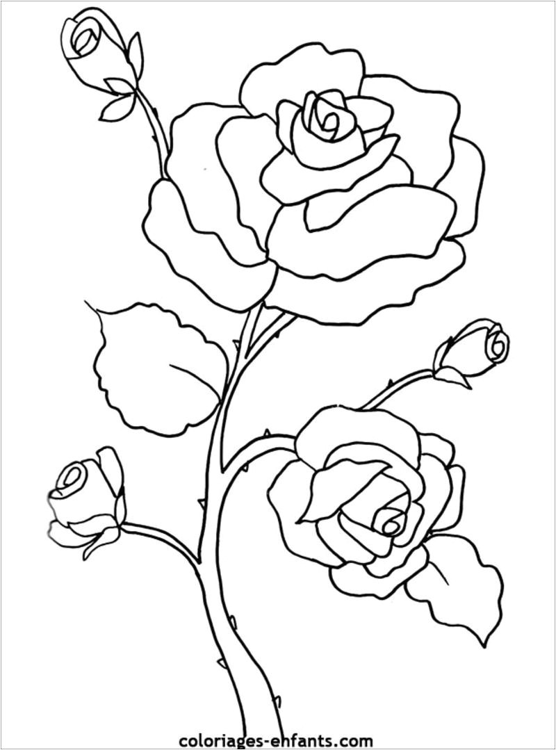 Coloriage Divers A Imprimer Gratuit Coloriages Divers Fleurs