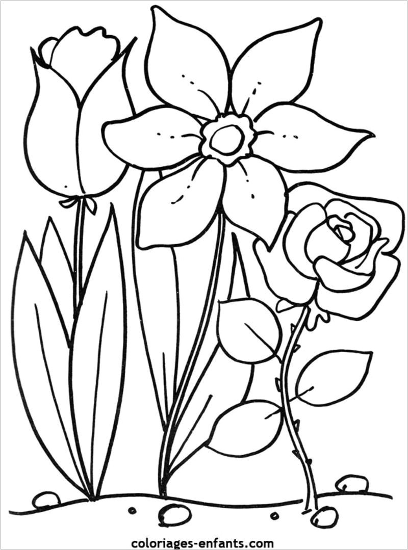 Coloriage Divers A Imprimer Gratuit Coloriages Divers Fleurs