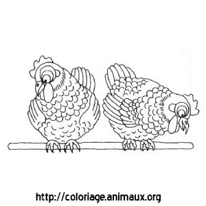 Coloriage En Haut En Bas Poules Regardent En Bas Coloriage Poules Regardent En