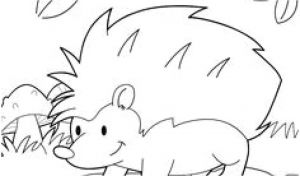 Coloriage En Ligne Animaux De La Mer Coloriage Animaux De La Mer En Ligne 52 Best Coloriages