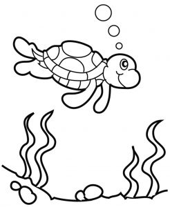 Coloriage En Ligne Animaux De La Mer Coloriage En Ligne Animaux De La Mer