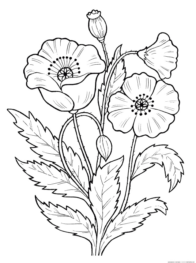 Coloriage En Ligne Fleur Coloriage Fleur— Coloriage A Imprimer