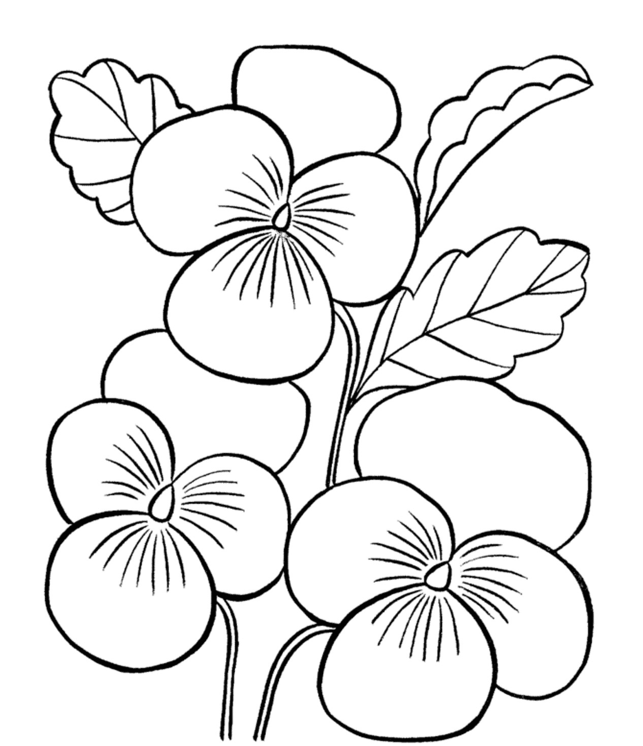 Coloriage En Ligne Fleur Dessins Et Coloriages 5 Coloriages De Fleurs En Ligne à