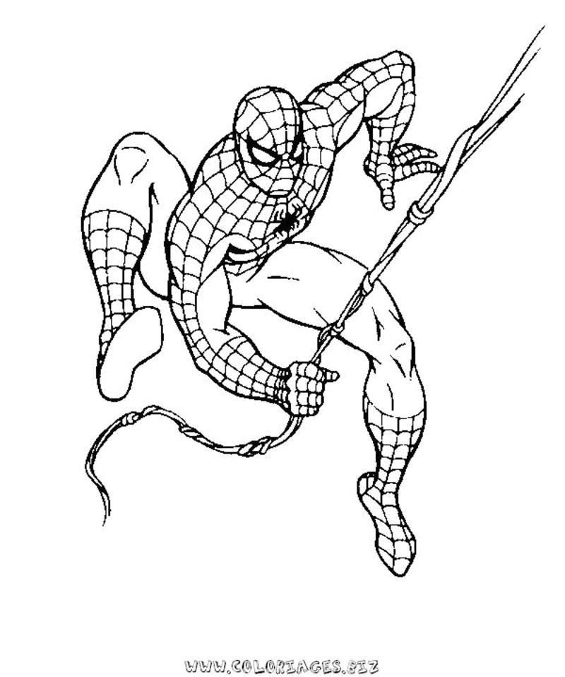 Coloriage En Ligne Marvel 20 Dessins De Coloriage Spiderman En Ligne à Imprimer
