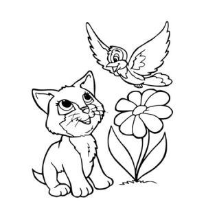 Coloriage En Ligne Oiseau 20 Dessins De Coloriage Oiseau En Ligne à Imprimer