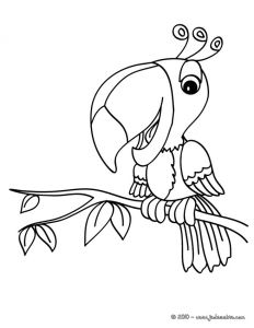 Coloriage En Ligne Oiseau 20 Dessins De Coloriage Oiseau En Ligne à Imprimer