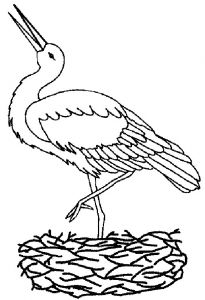 Coloriage En Ligne Oiseau Coloriage Oiseau En Ligne En Noir Et Blanc Dessin Gratuit