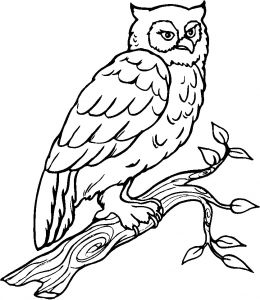 Coloriage En Ligne Oiseau Oiseaux 4 Coloriage D Oiseaux Coloriages Pour Enfants