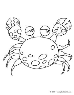 Coloriage En Ligne Poisson 68 Meilleures Images Du Tableau Coloriages Animaux Marins