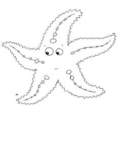 Coloriage Etoile De Mer A Imprimer 11 Dessins De Coloriage étoile De Mer à Imprimer