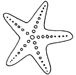 Coloriage Etoile De Mer A Imprimer Coloriage étoile De Mer