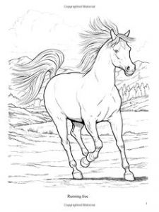 Coloriage Fer A Cheval Coloriage Chevaux