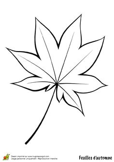 Coloriage Feuille De Vigne 11 Meilleures Images Du Tableau Feuille De Vigne