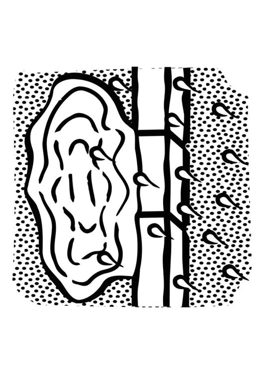 Coloriage Flaque D Eau Coloriage Flaque D Eau Img