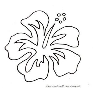 Coloriage Fleur D Hibiscus Coloriage Fleur Hibiscus