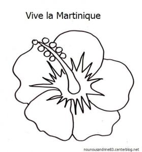 Coloriage Fleur D Hibiscus Coloriage Fleur Hibiscus