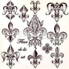 Coloriage Fleur De Lys Royale 514 Meilleures Images Du Tableau Lys