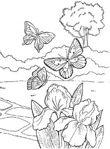 Coloriage Fleurs D été 95 Dessins De Coloriage Fleurs D été à Imprimer