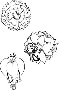 Coloriage Fleurs Exotiques Imprimer Dessin De Fleurs Exotiques A Imprimer
