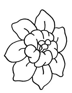 Coloriage Fleurs Exotiques Imprimer Fleurs A Imprimer