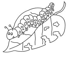 Coloriage Frankie Le Robot 9 Meilleures Images Du Tableau Funny and Cute Caterpillar